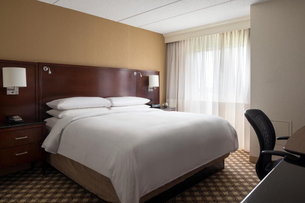 One-Bedroom Executive King Suite with Sofa Bed