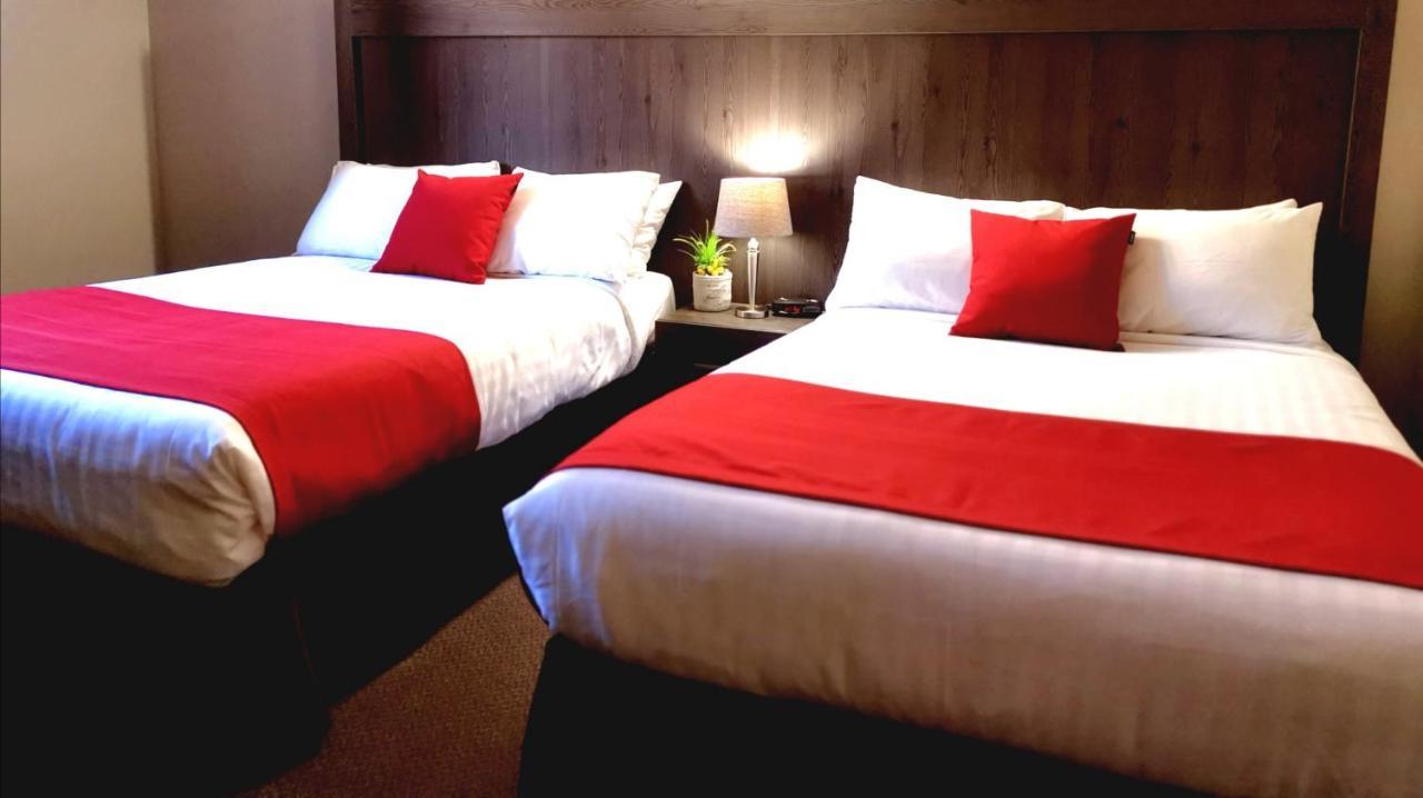 Chambre Double Supérieure avec Deux Lits Doubles