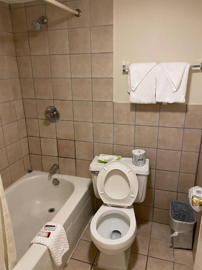Standard Room Two Double Beds Non-Smoking Pet Friendly,1074647602:JPEG