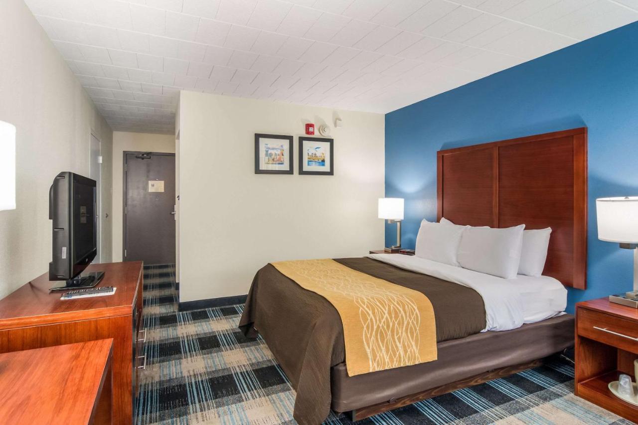 Queen Room - Disability Access/Non-Smoking