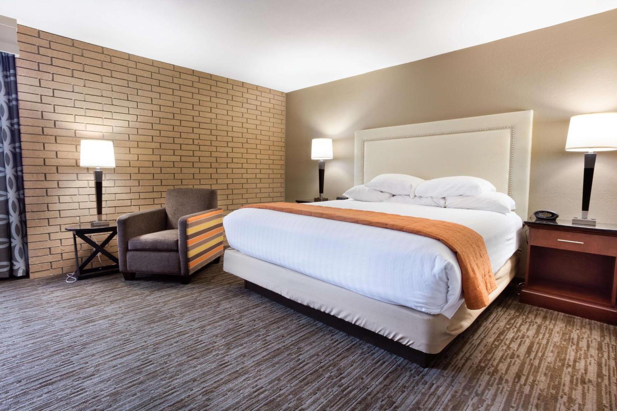 King Suite with Sofa Bed