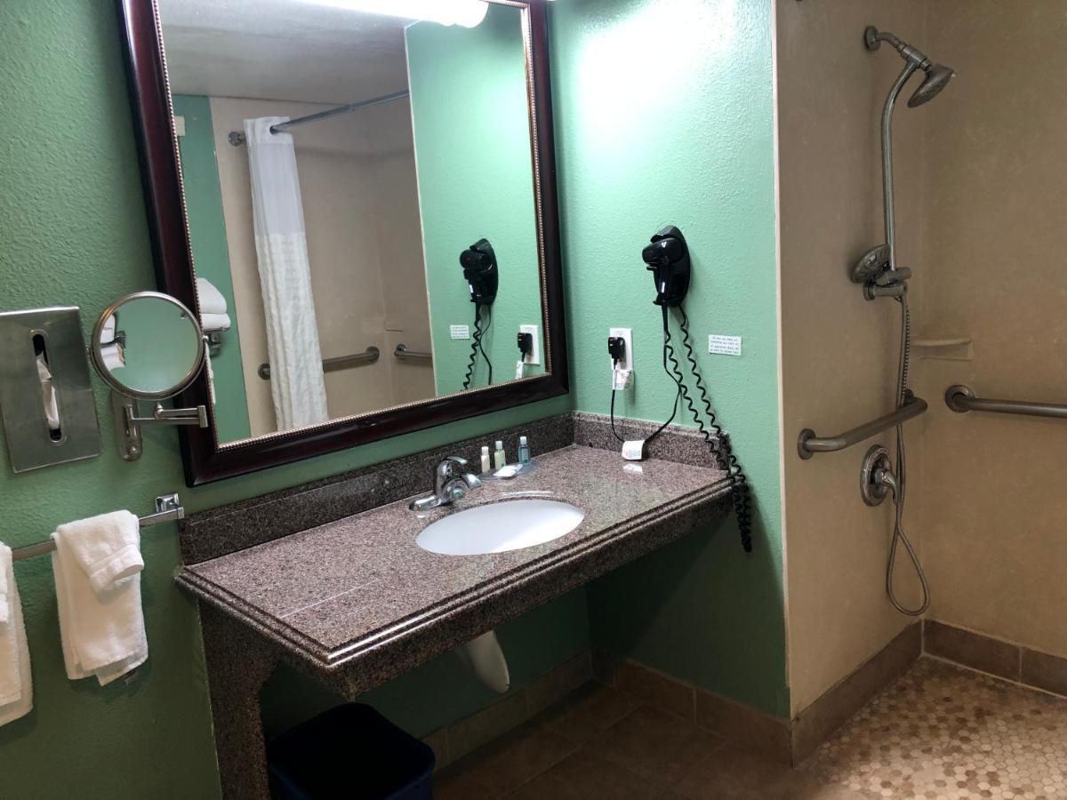 Accessible Room, 1 King Bed, Roll-In Shower, Non Smoking
