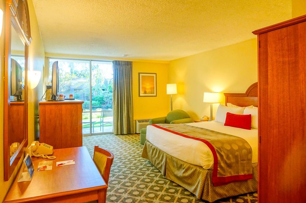 Superior King Room with Garden View - Non-Smoking