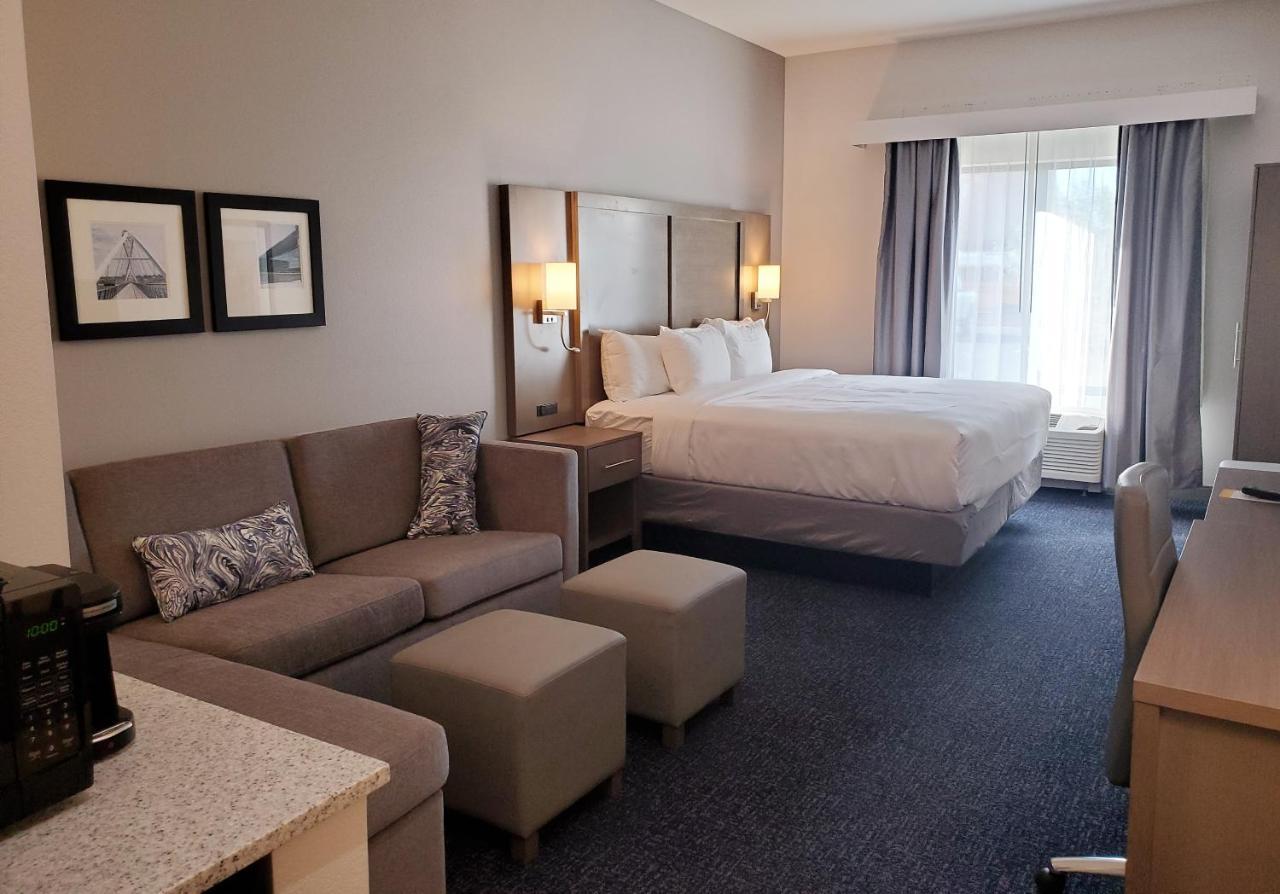 1 King Bed, 1 Room Suite, Sofabed