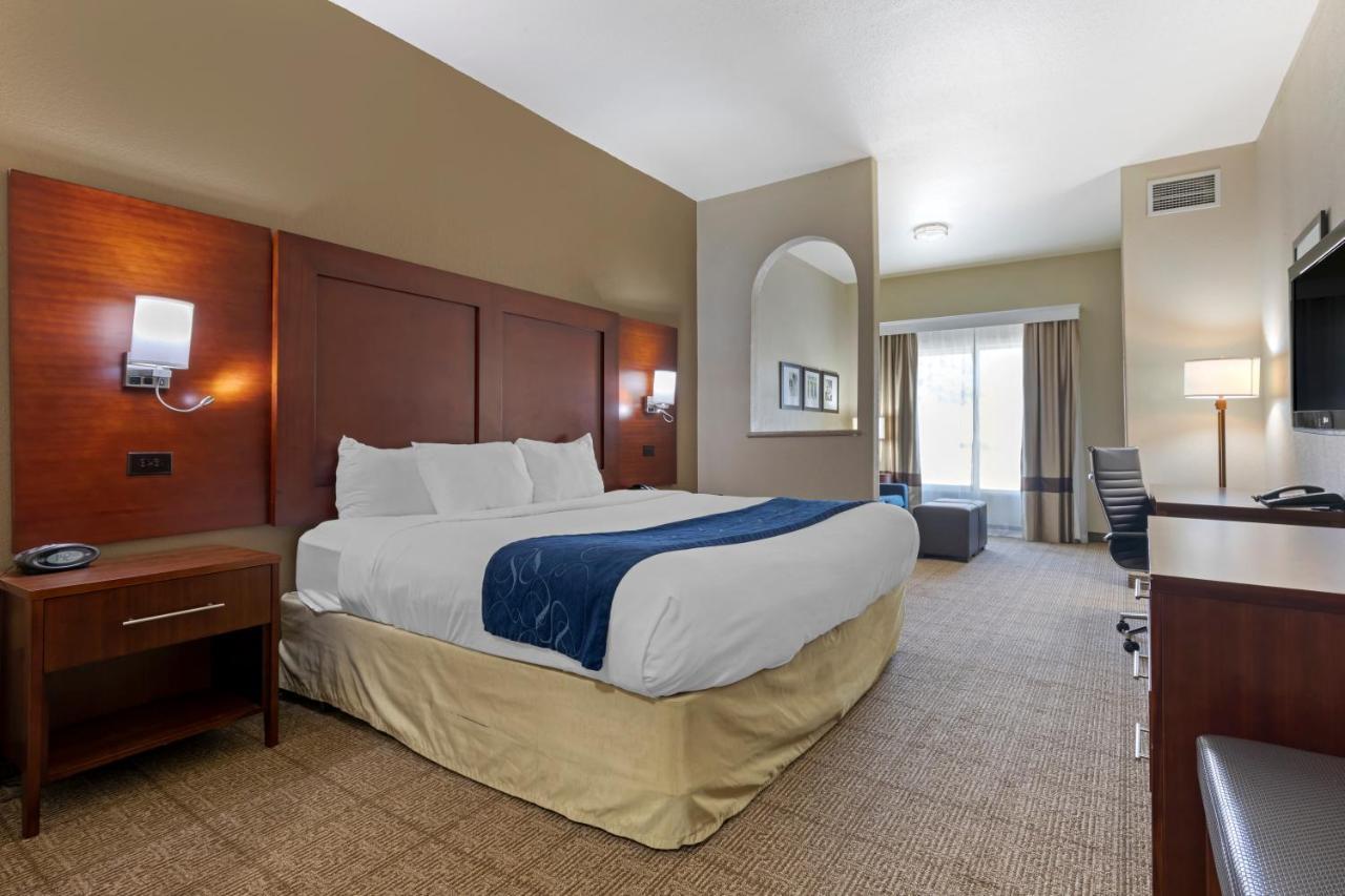 King Suite with Sofa Bed