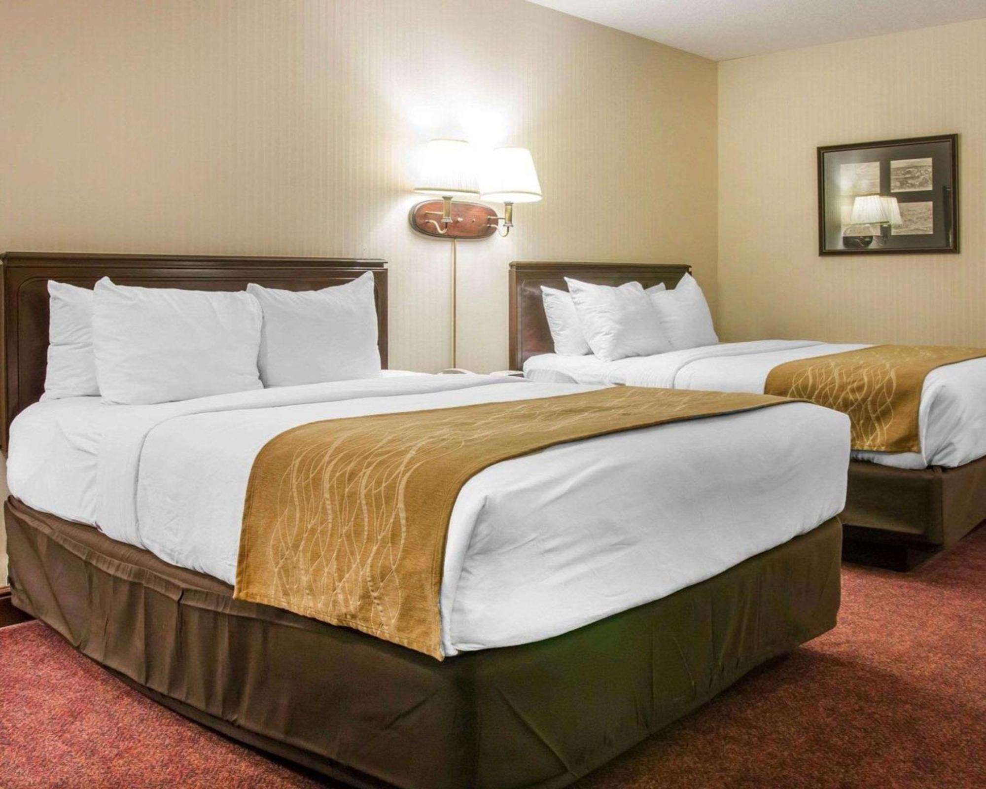 Queen Room with Two Queen Beds