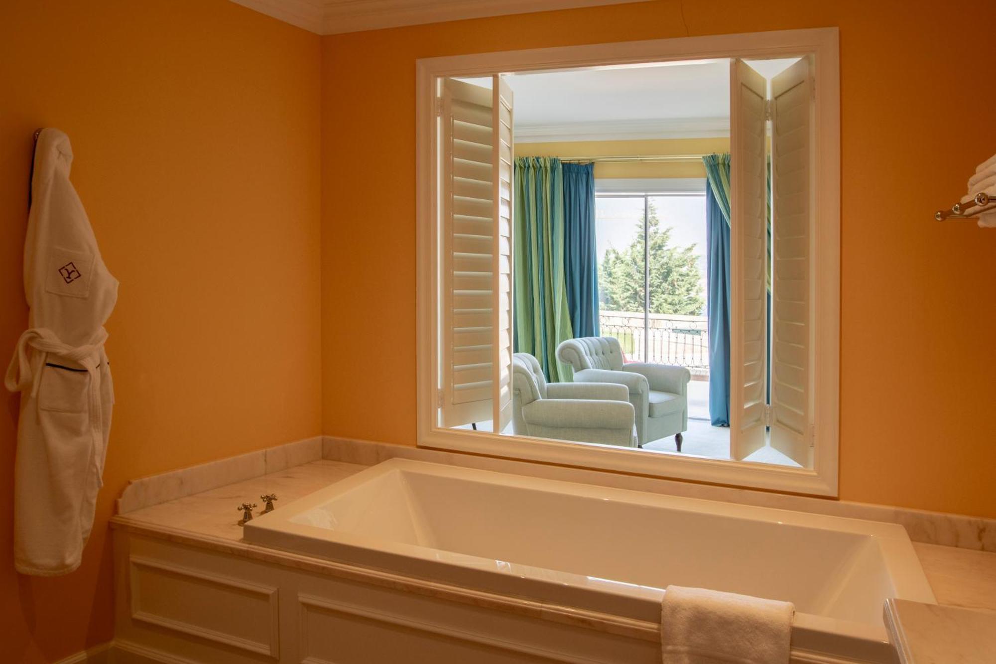 Deluxe Suite Panoramic River View
