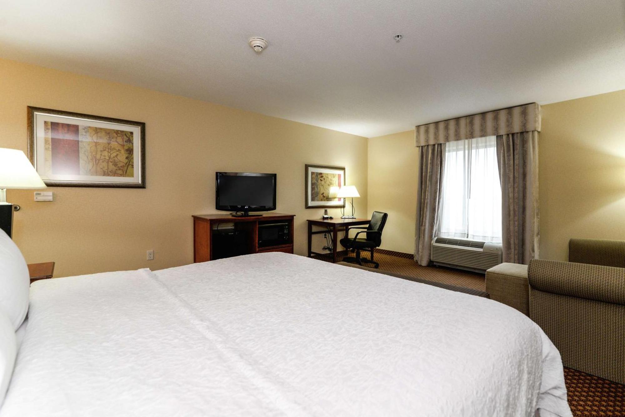 King Studio Suite with Sofa Bed - Non-Smoking