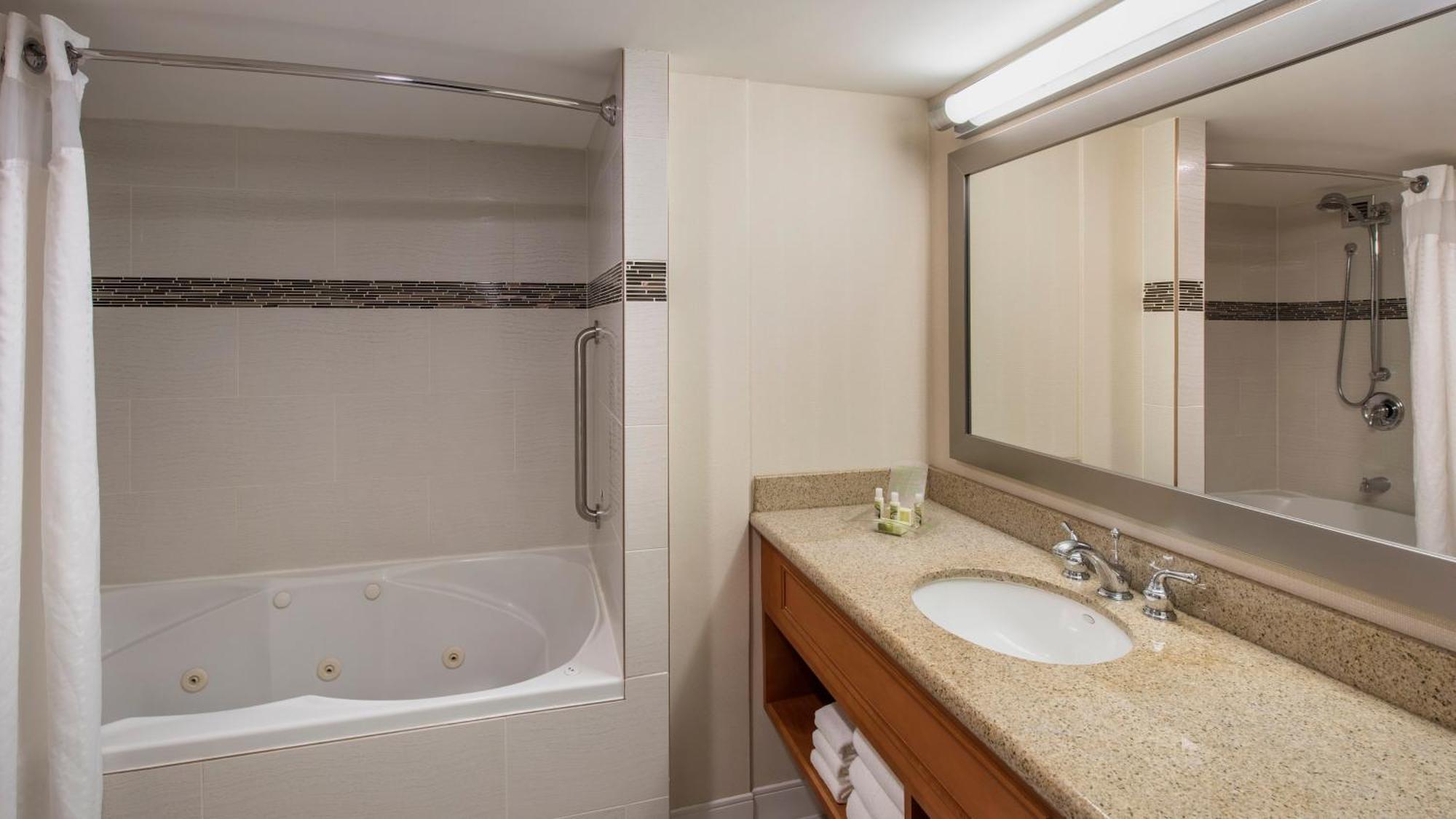 One-Bedroom Suite with City View