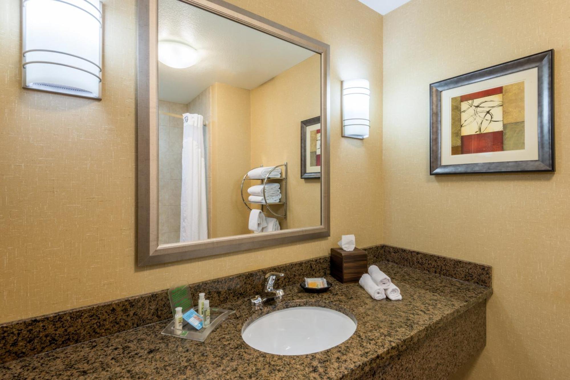 One-Bedroom King Suite