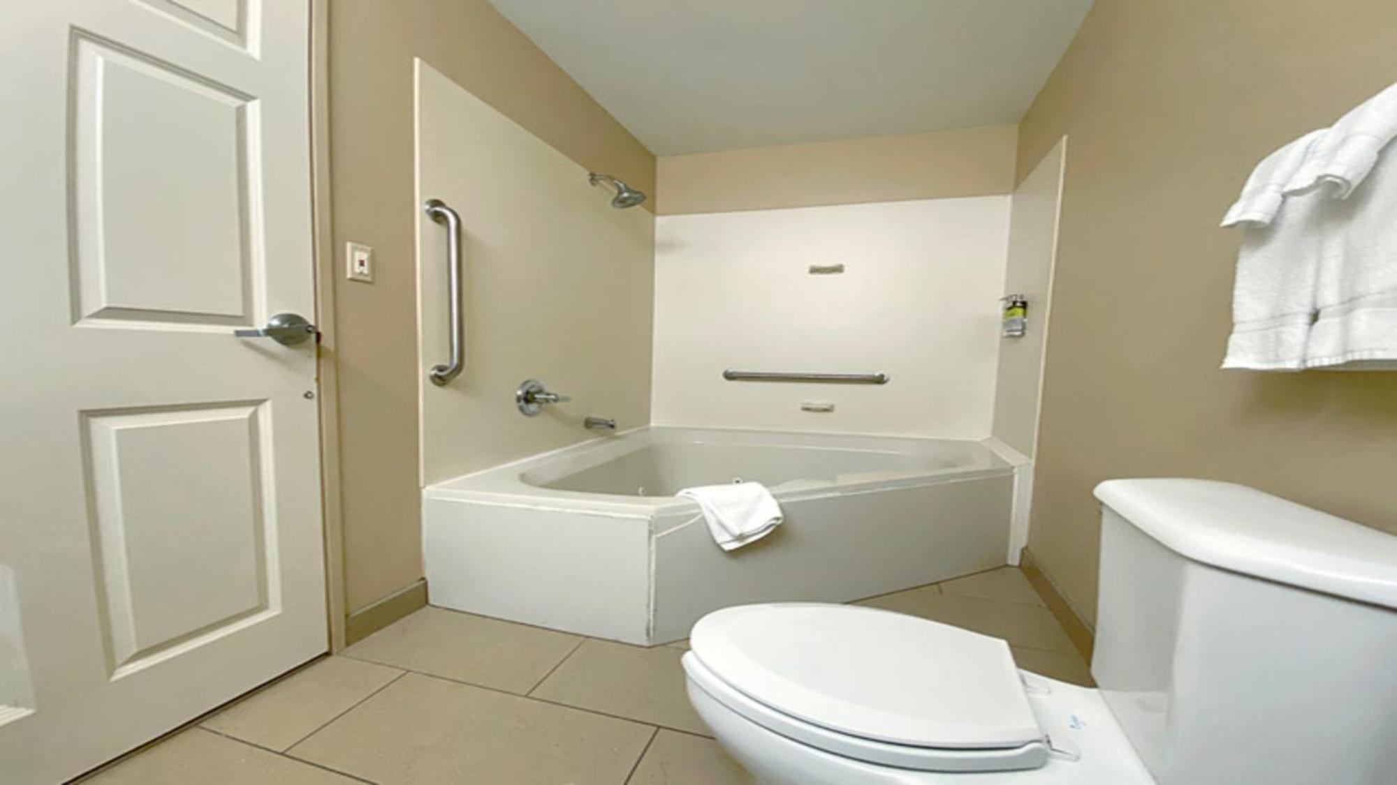 King Suite with Sofa Bed