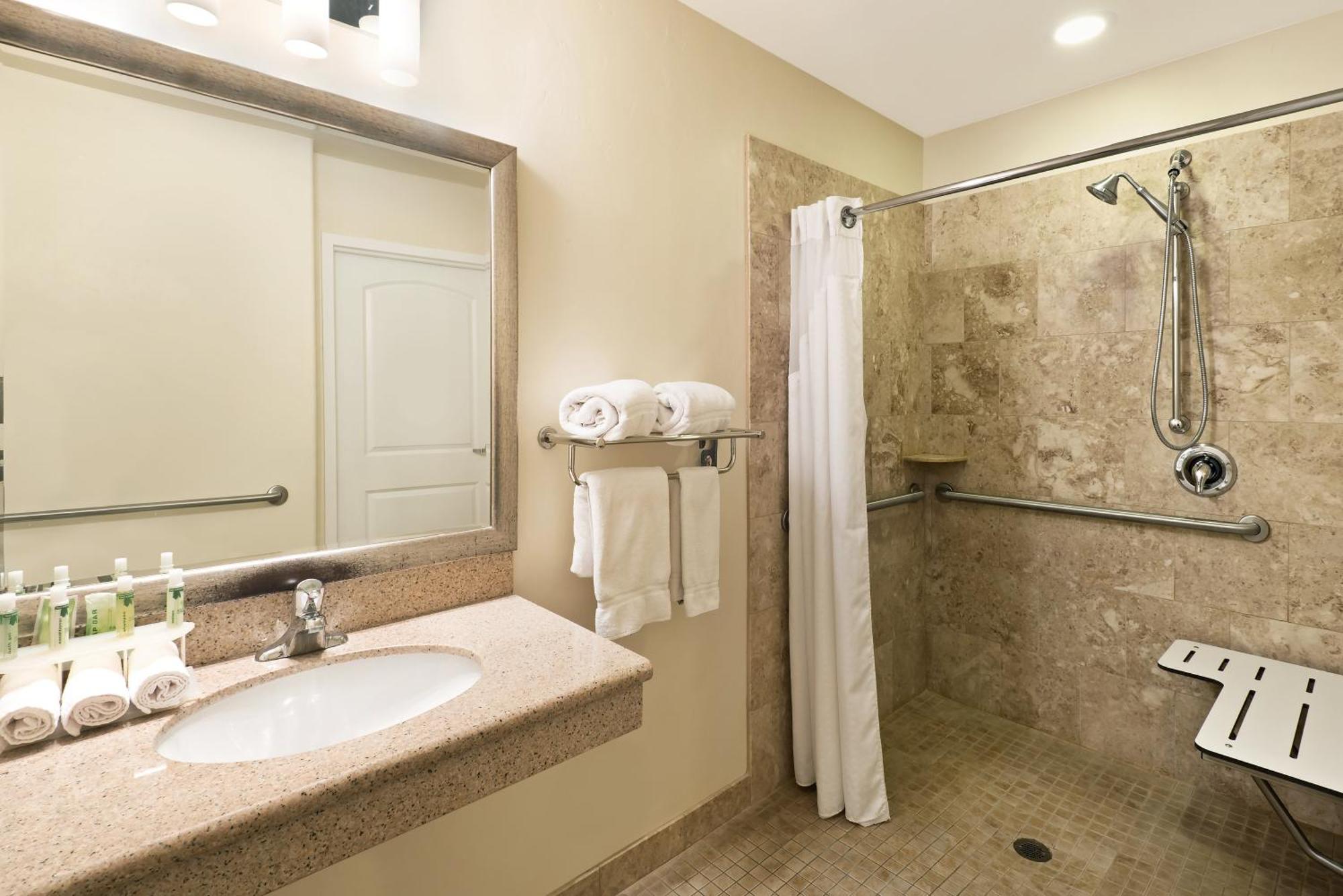Standard King Room with Roll-in Shower - Mobility Accessible