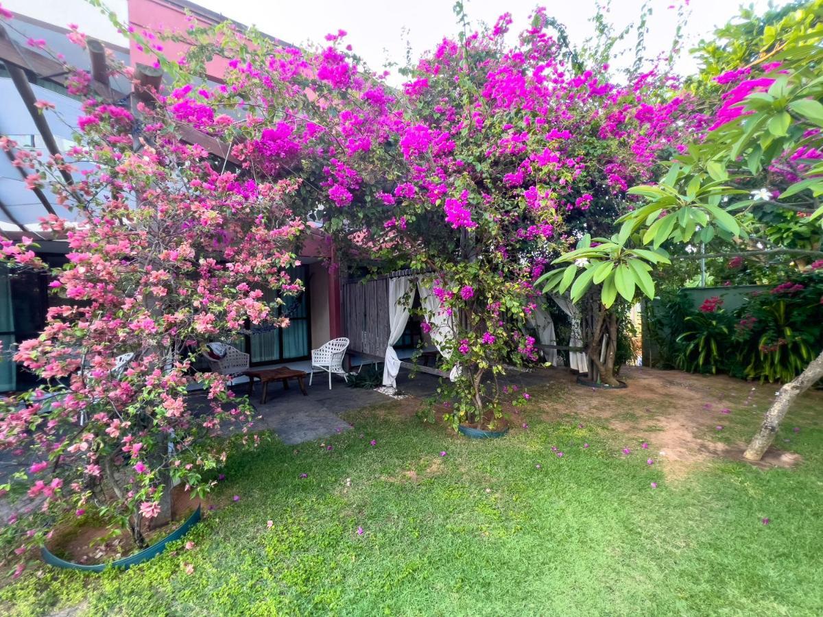 Queen Room Garden View