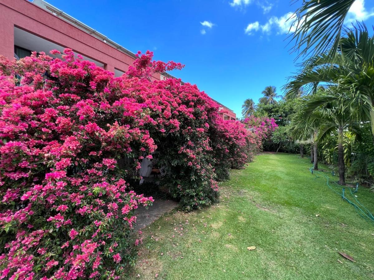 Queen Room Garden View
