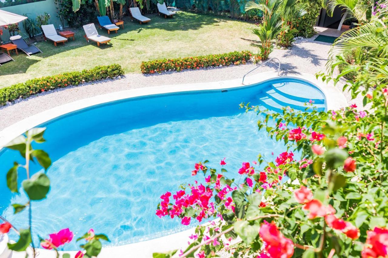 Double Room with Pool View