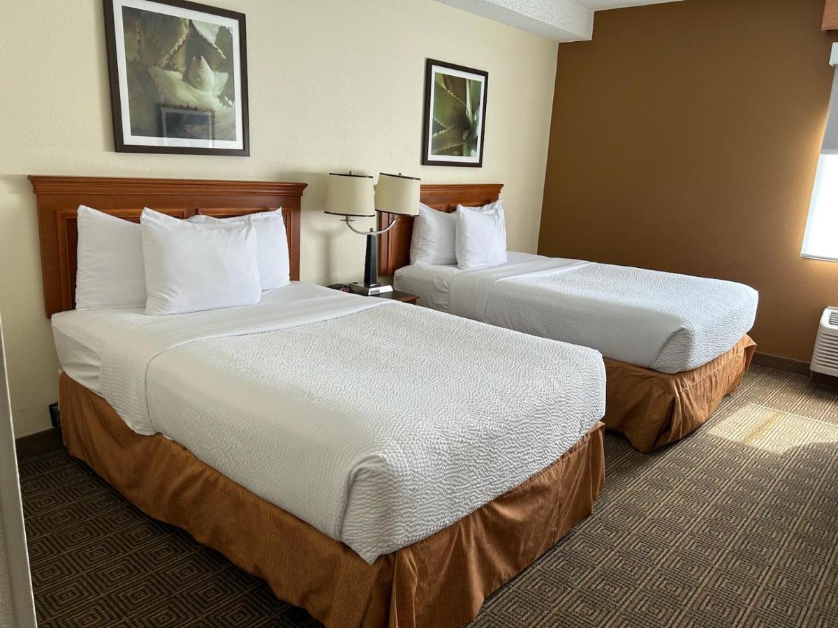 Double Room with Two Double Beds - Non-Smoking