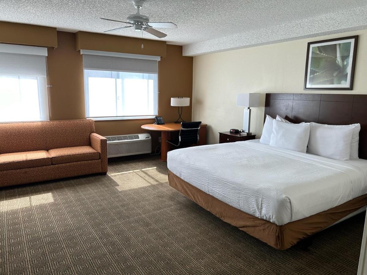 Junior King Suite - Non-Smoking
