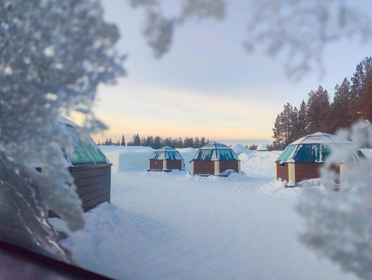 Glass Igloo