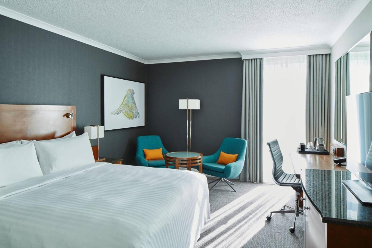 Habitación Deluxe con cama extragrande