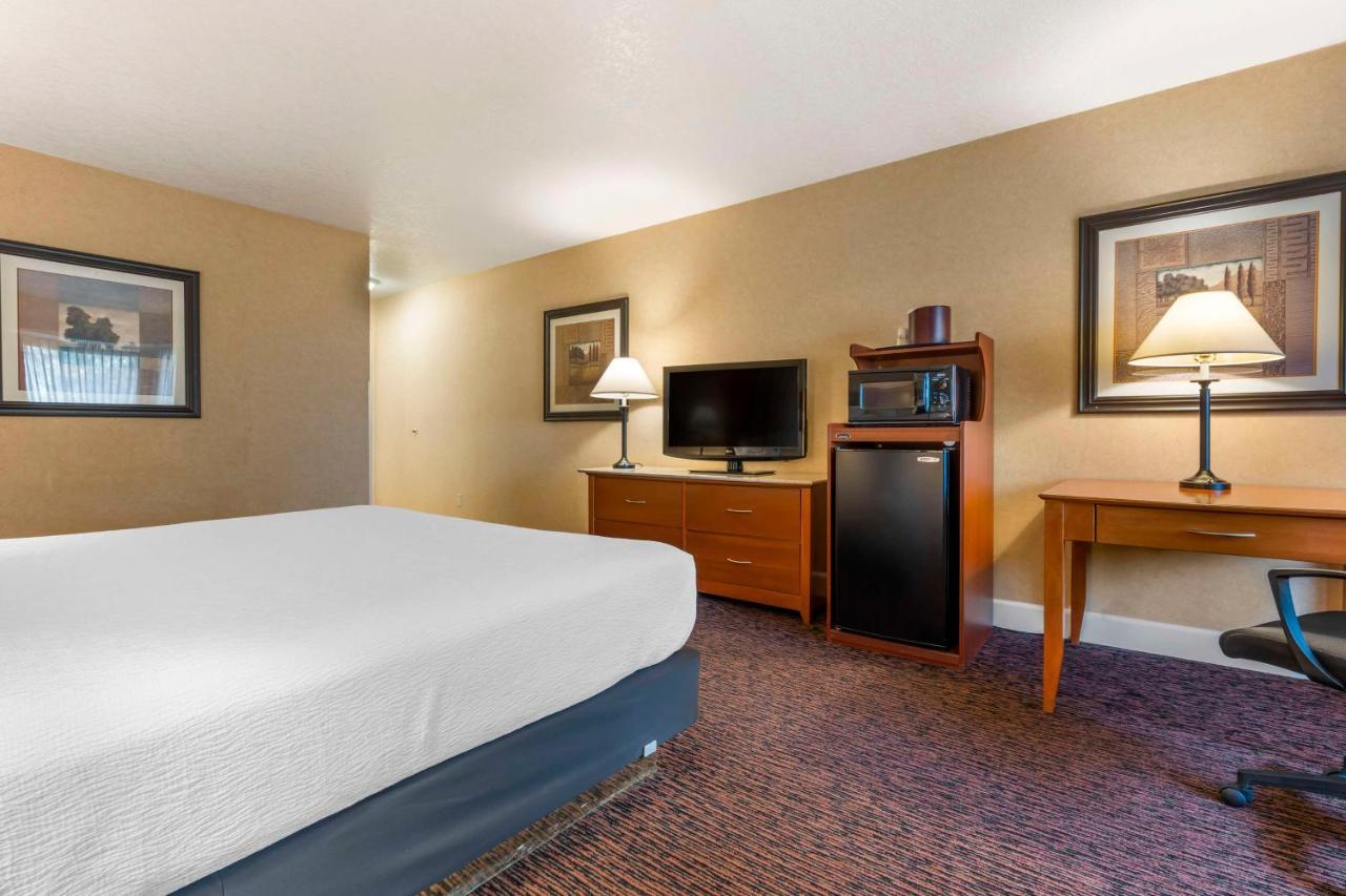 Executive King Room - Non-Smoking