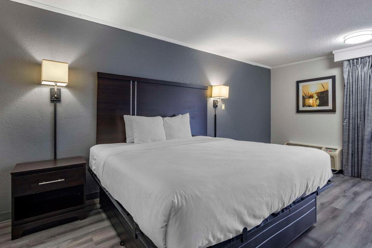 Superior King Room - Non Smoking