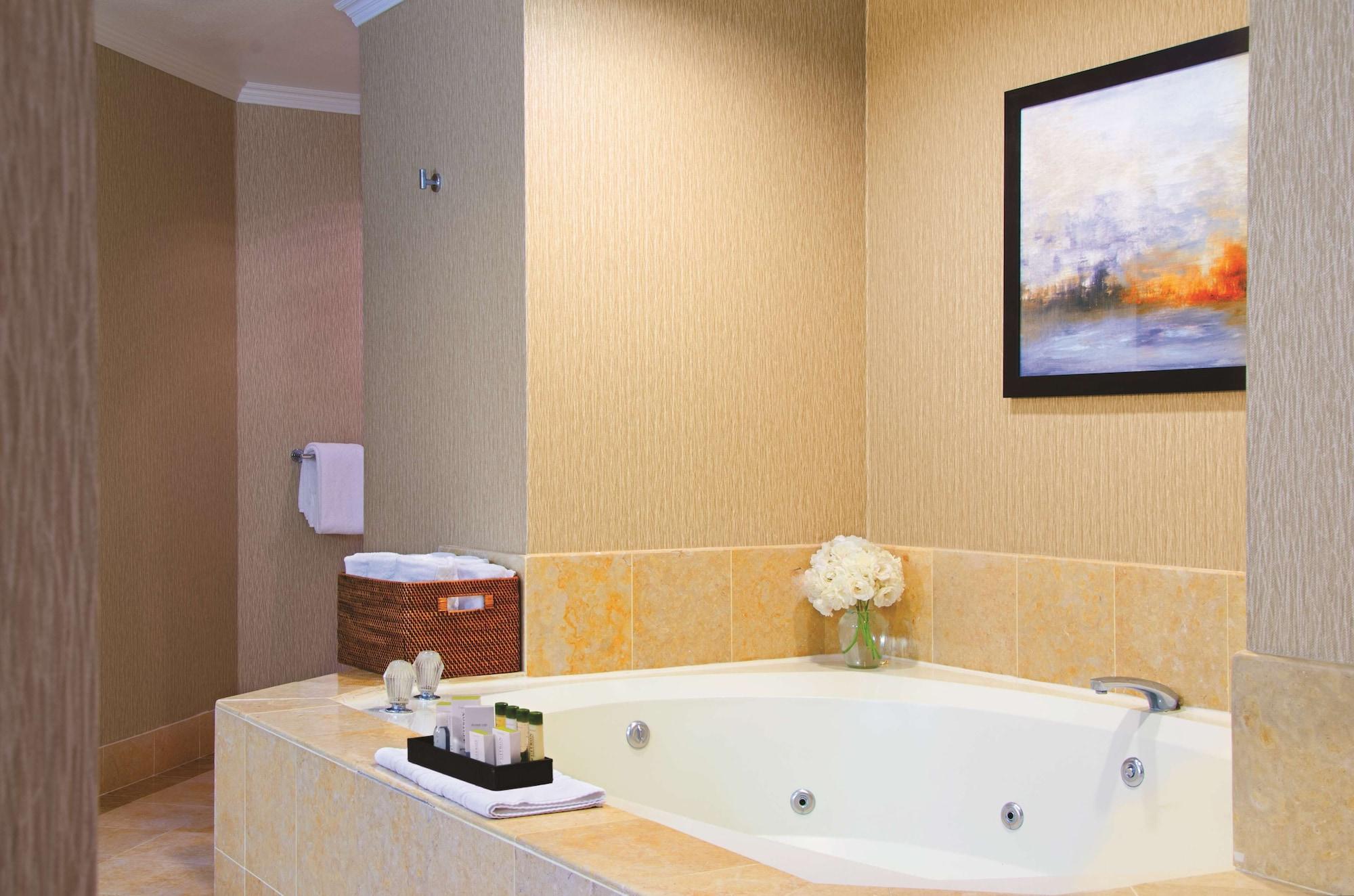 1 King Bed Studio Suite