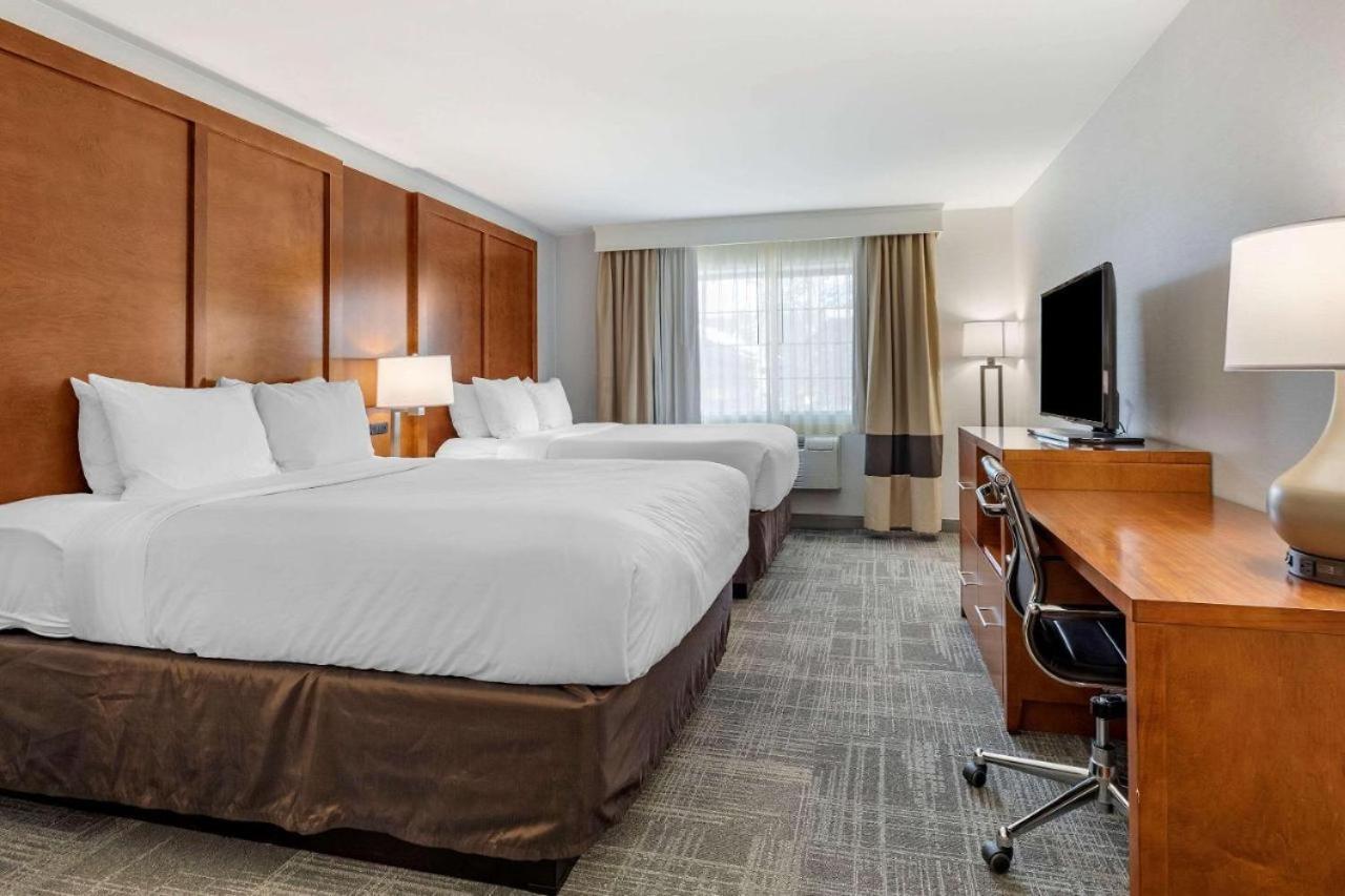 Queen Suite with Sofa Bed - Non-Smoking (No Pets Allowed)
