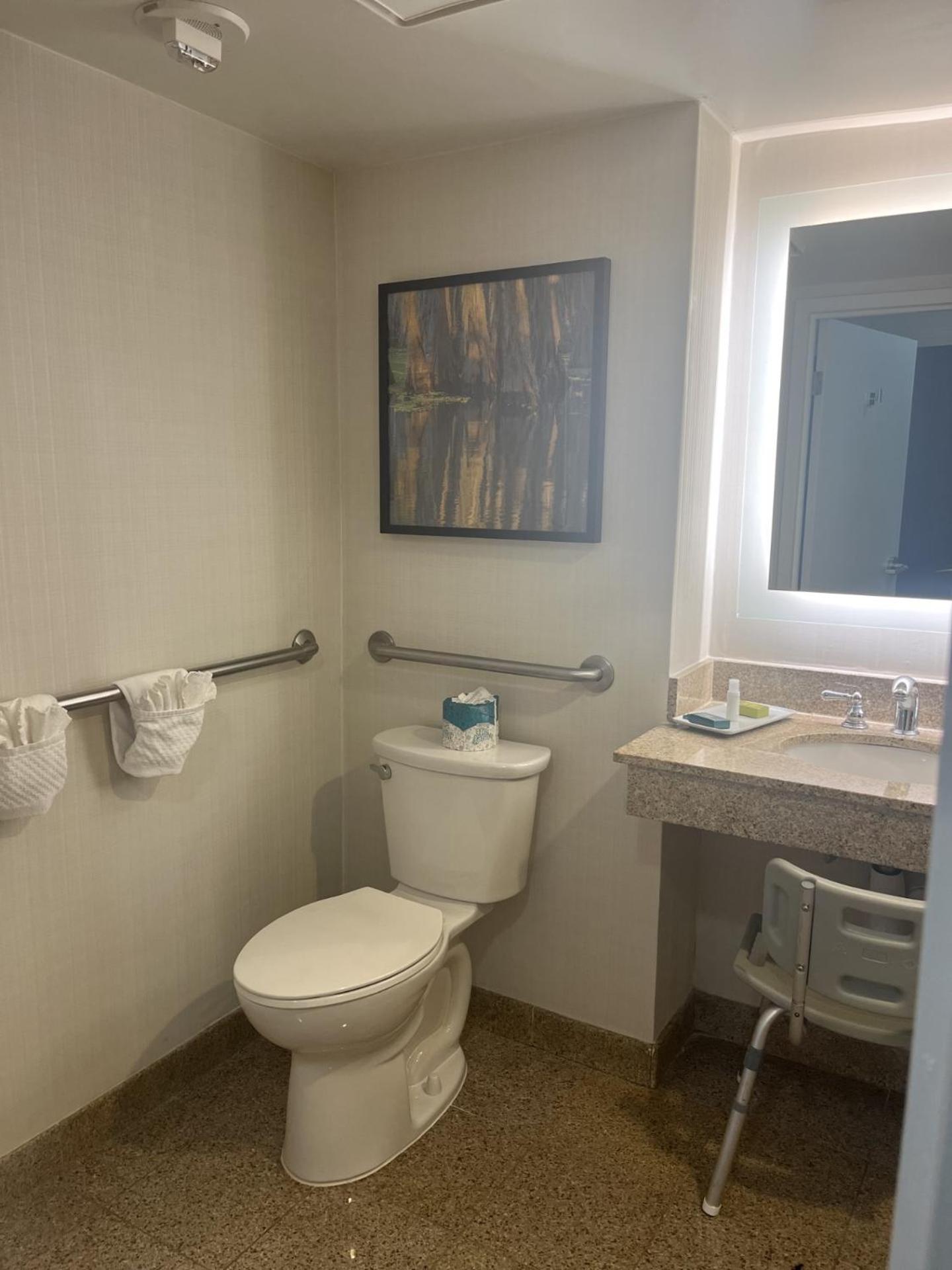 King Room with Bath Tub - Mobility Access