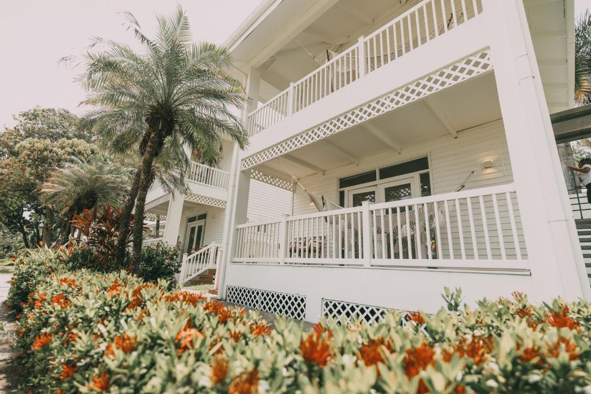 Garden Deluxe