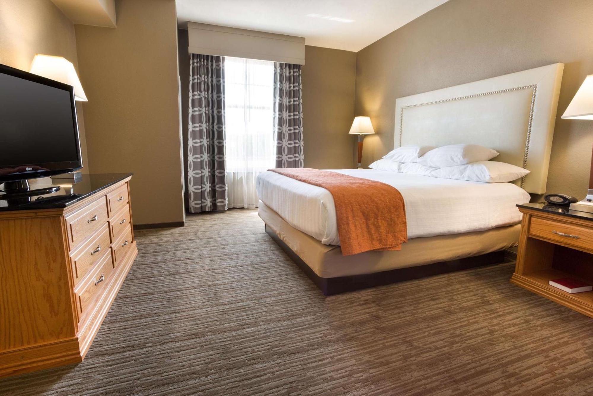 King Suite with Sofa Bed