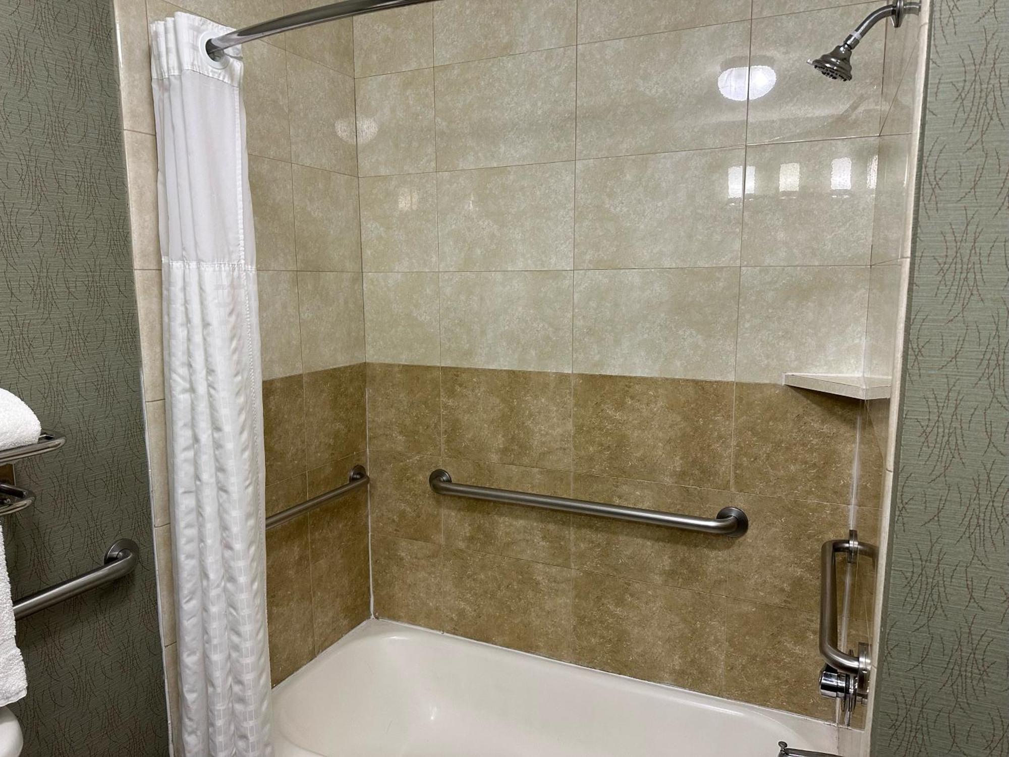 1 King Bed, Presidential One-Bedroom Suite, City/Lake/Pool View, Non-Smoking