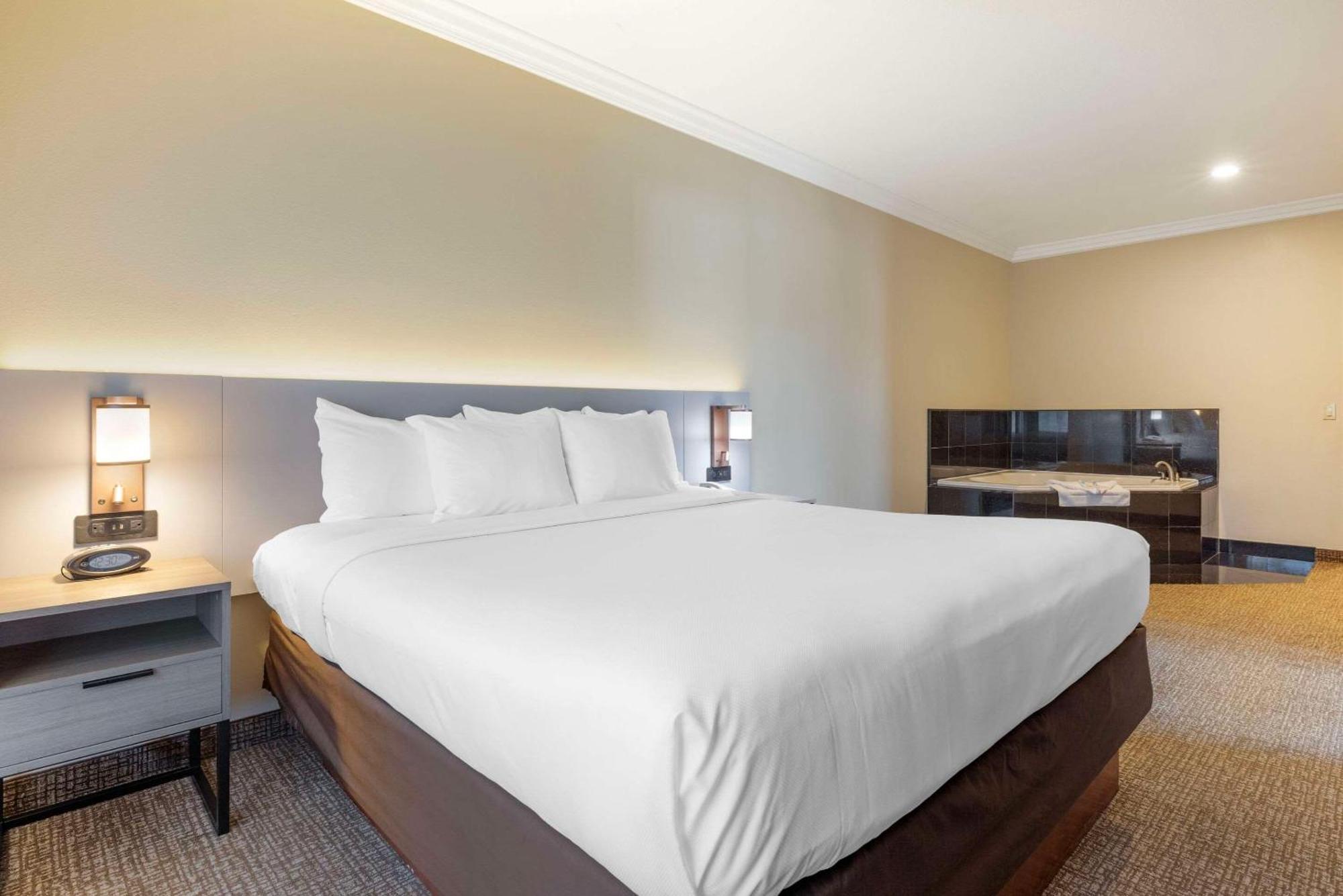 Hot Tub Suite, 1 King Bed, Sofa Bed, Non Smoking