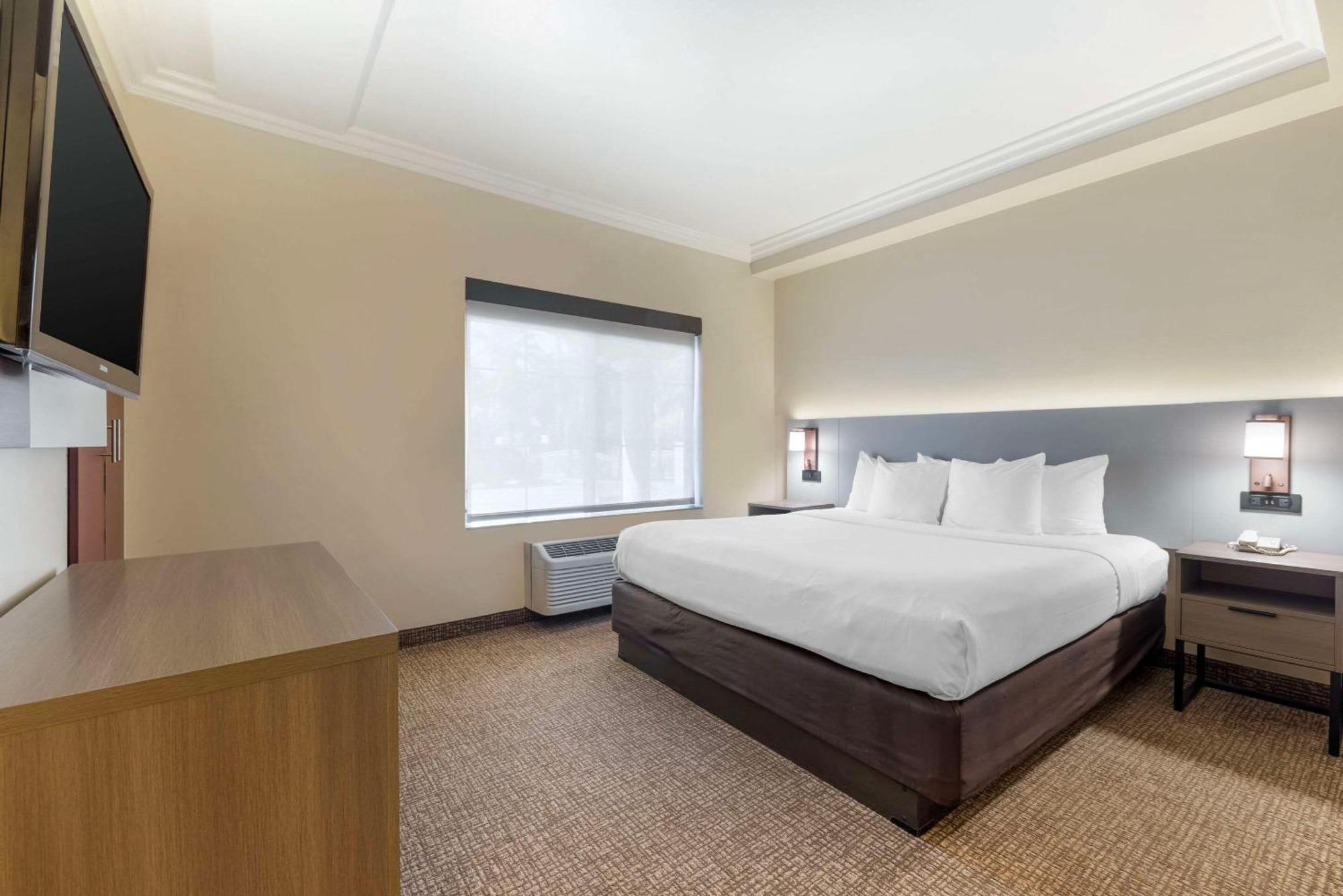 Junior Suite, 1 King Bed, Sofa Bed, Non Smoking