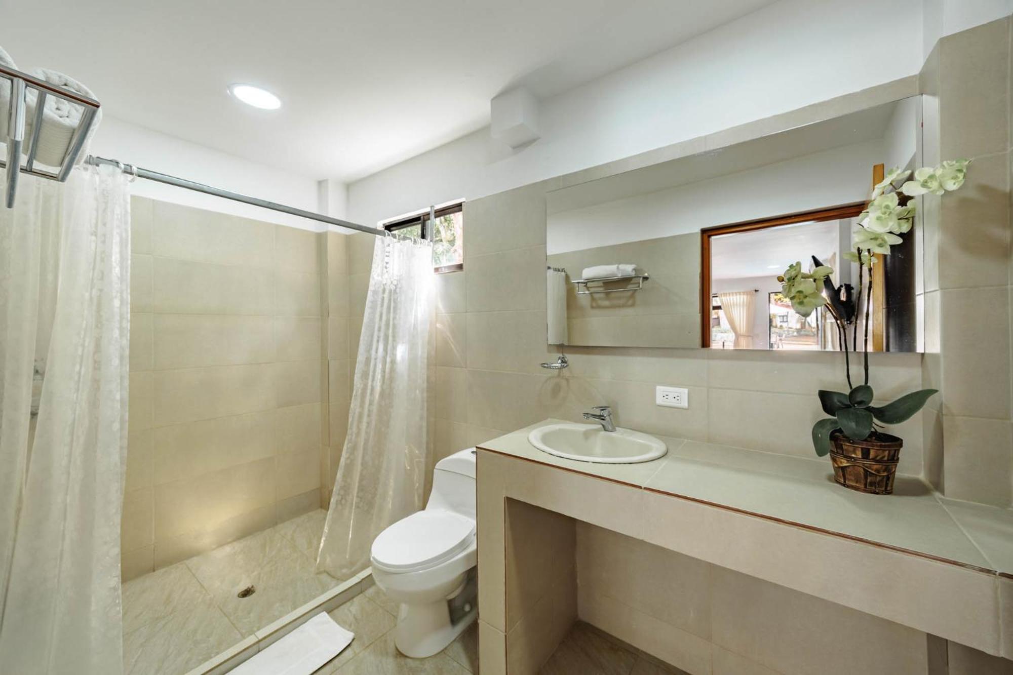 Triple Room,1534681708:JPEG