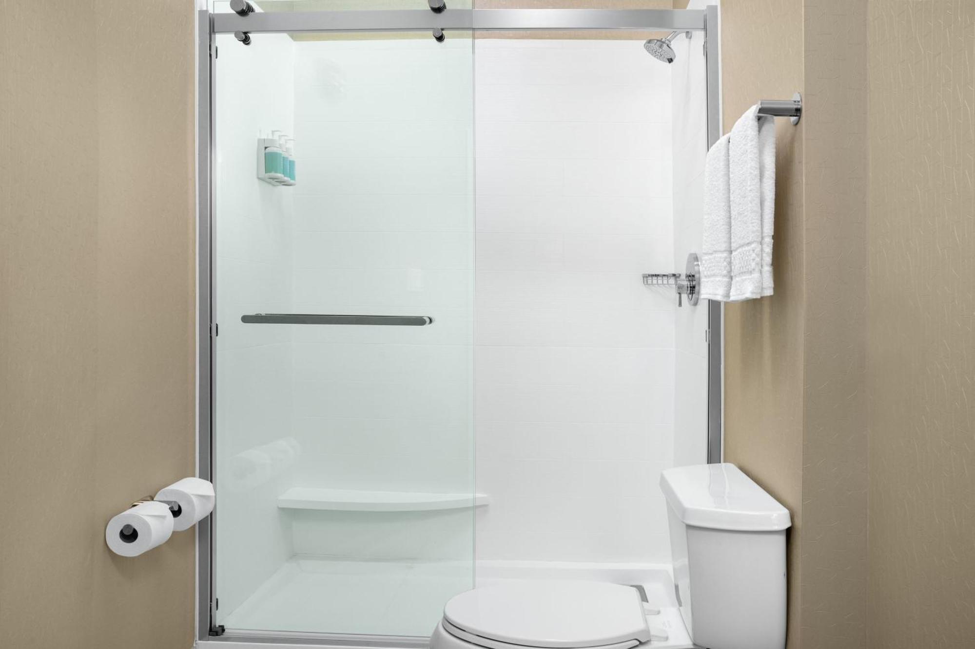 King Suite with Roll-In Shower and Trundle Sofa - Mobility Access