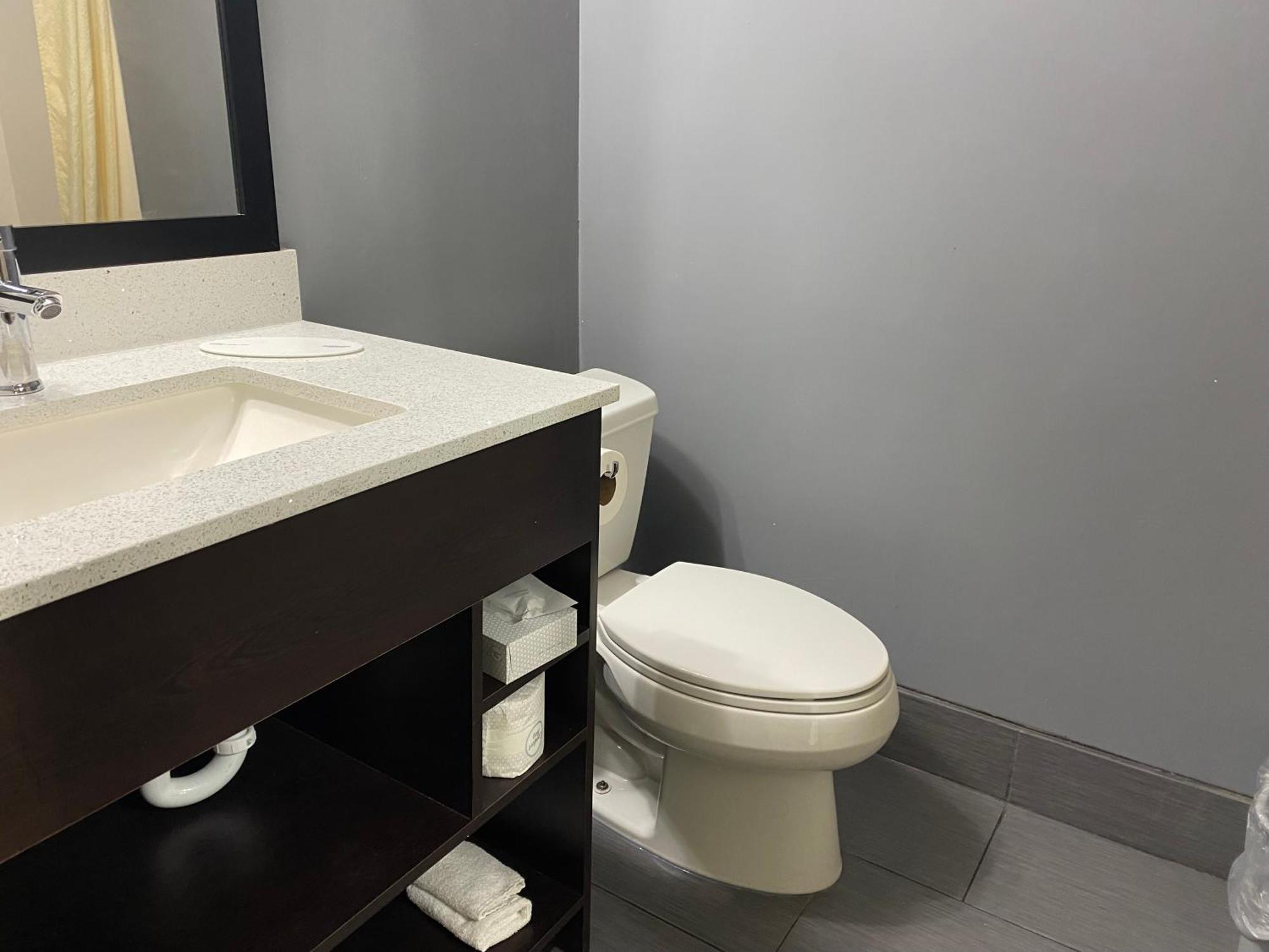 One-Bedroom Junior King Suite - Non-Smoking
