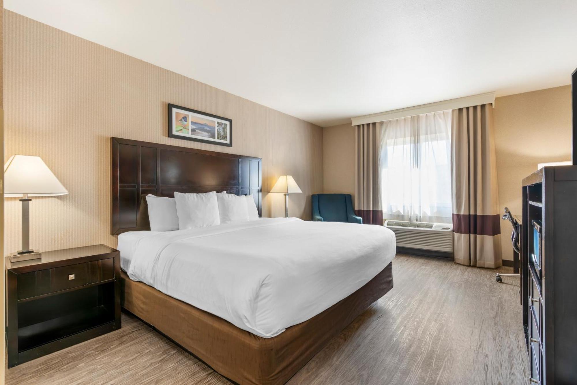 King Room - Pet Friendly/Non-Smoking