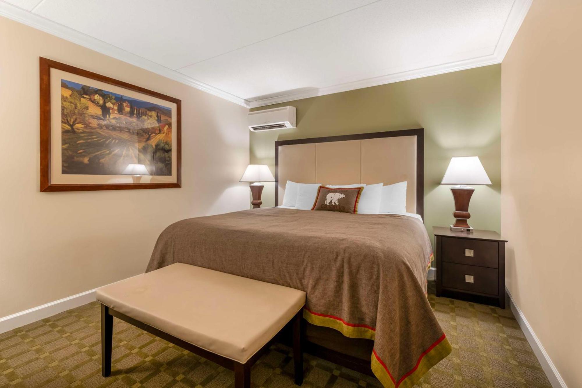 King Suite with Sofa Bed