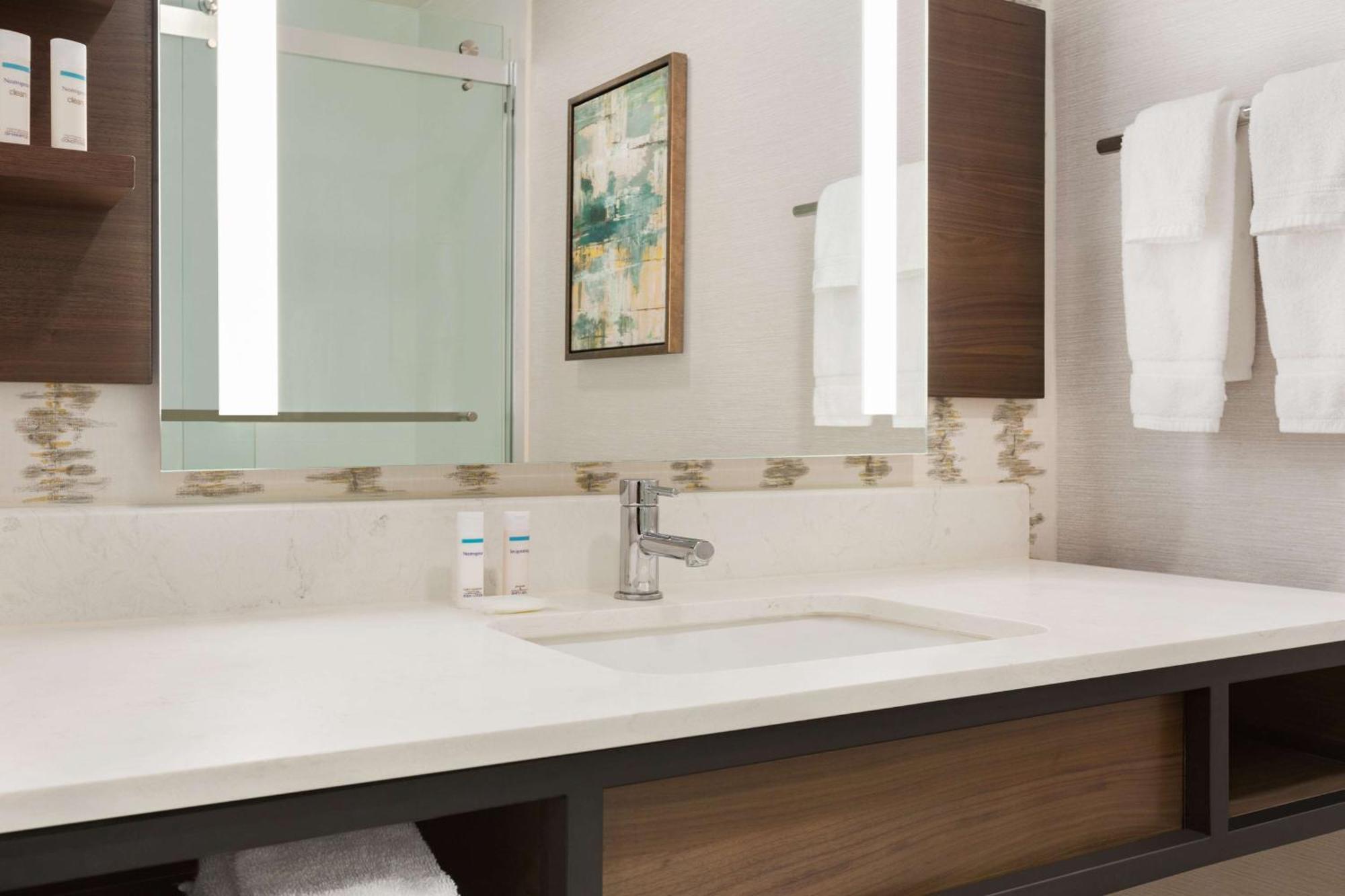 One-Bedroom King Suite