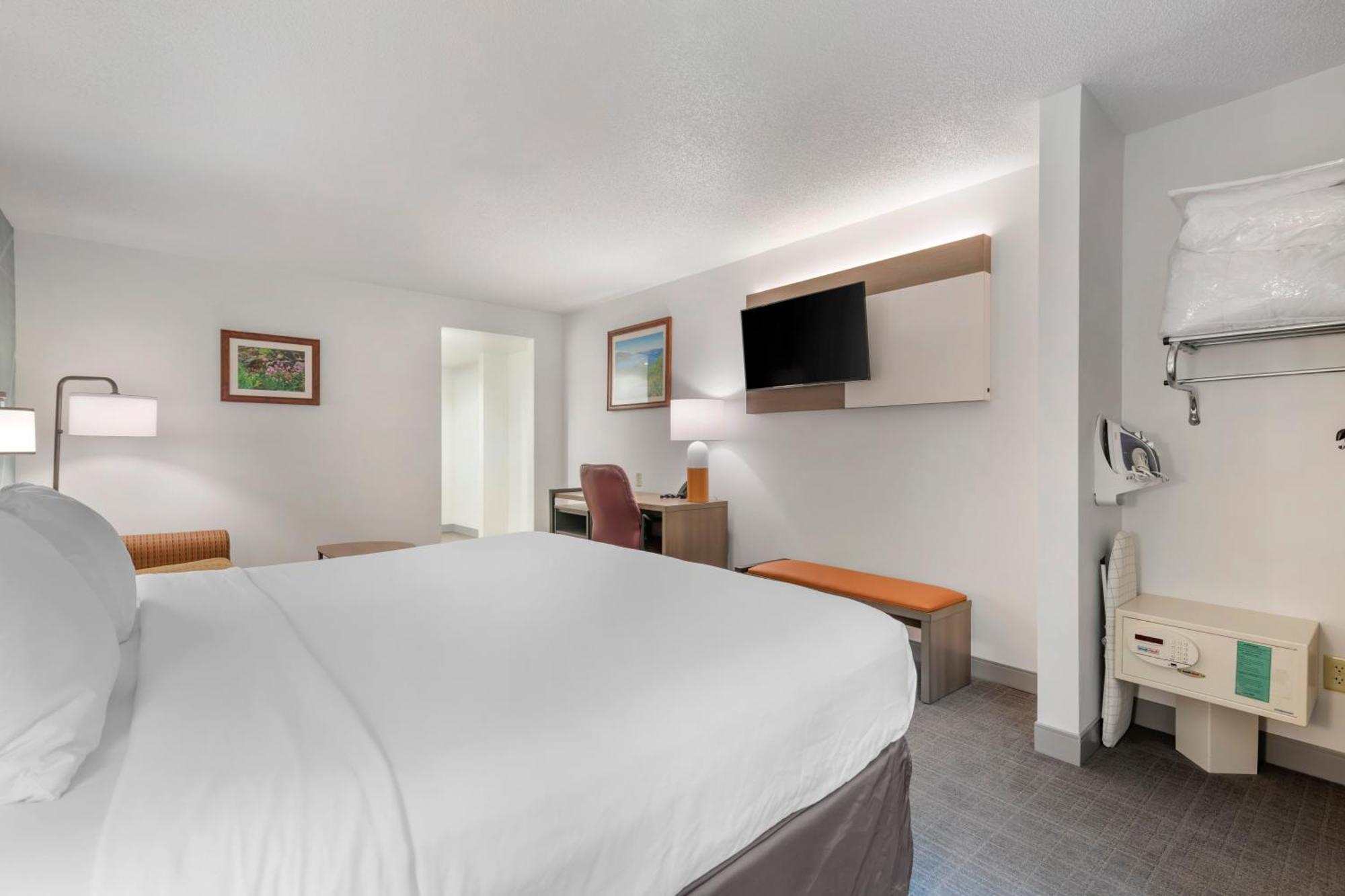 King Room Roll Shower Sofa Bed Accessible or Non-Smoking,1549395319:JPEG