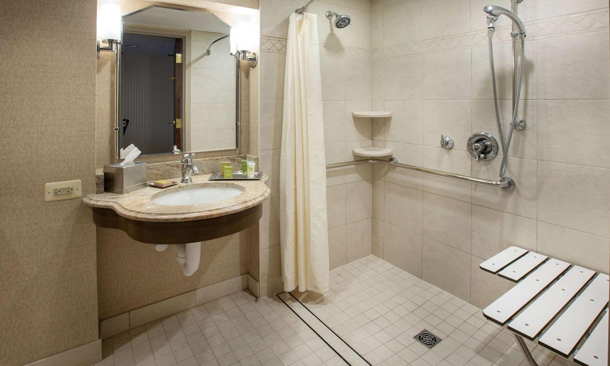 King Room Roll Shower Mobility or Hearing Accessible