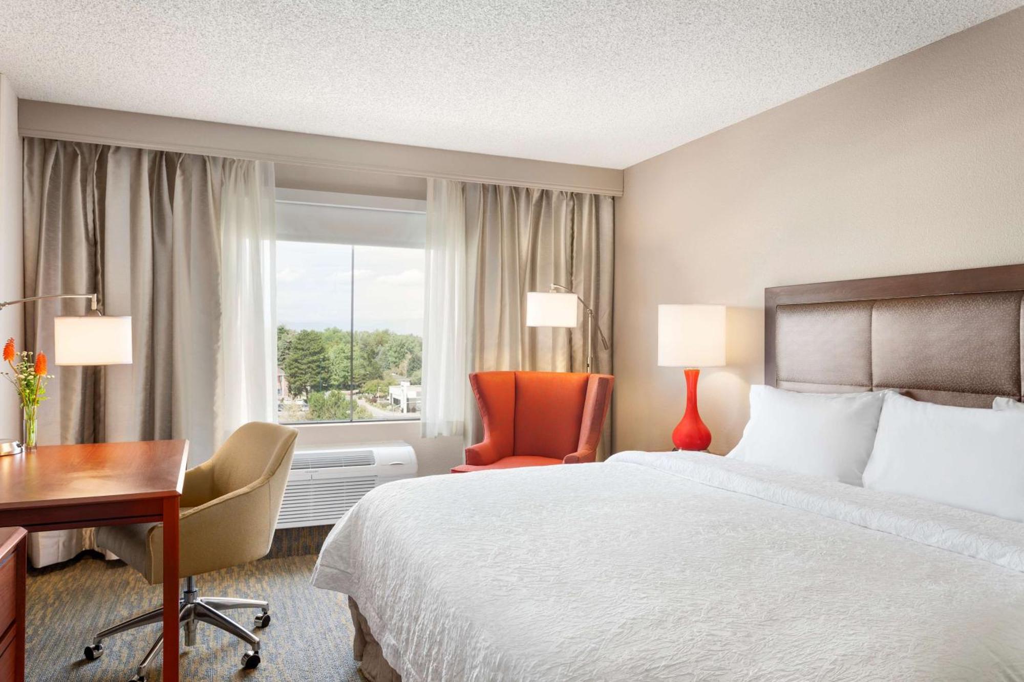 King Room,1552337551:JPEG