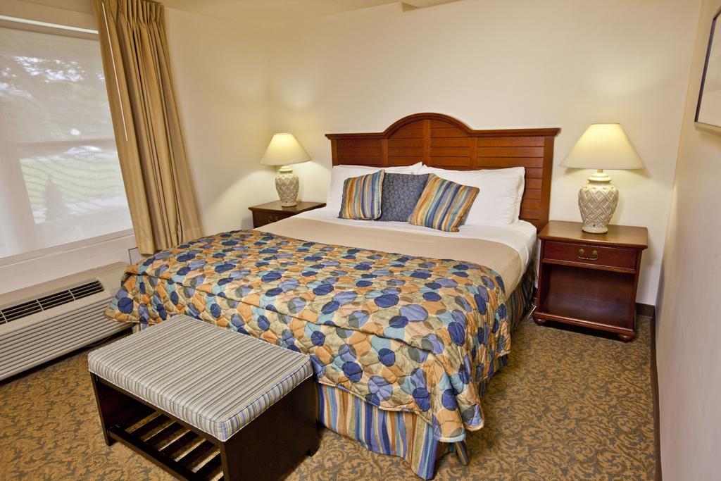 One-Bedroom Apartment (6 Adults)