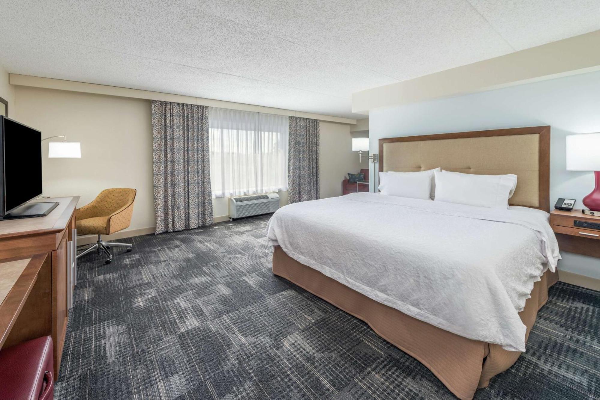 Executive Queen Room,1557915031:JPEG