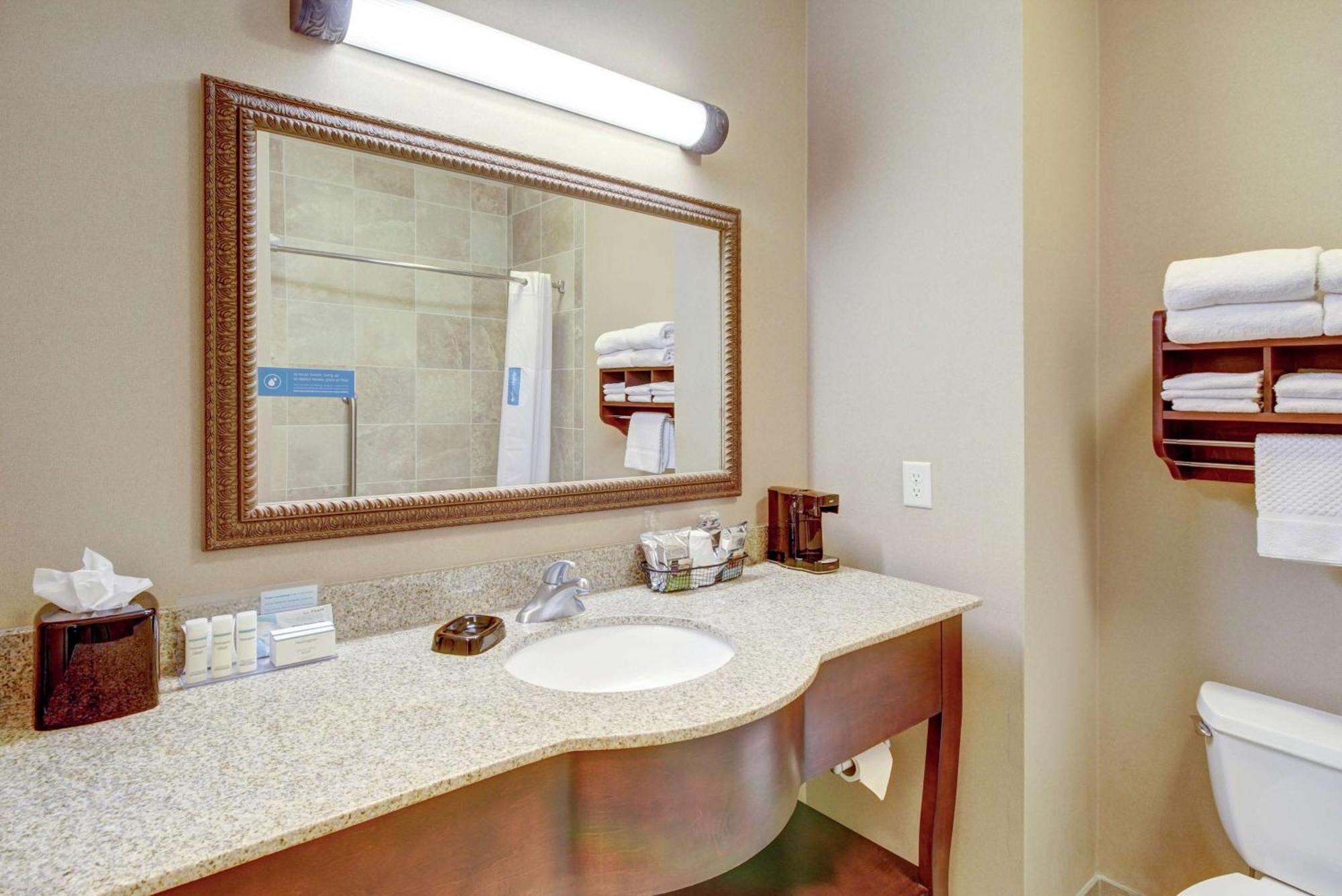 King Studio Suite with Sofa Bed - Non-Smoking