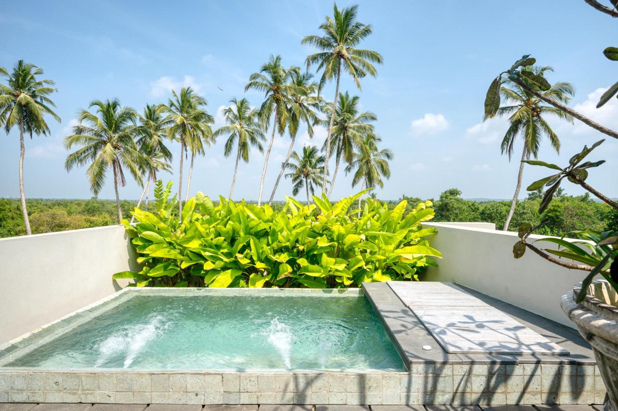 Palm View Suite with Jacuzzi