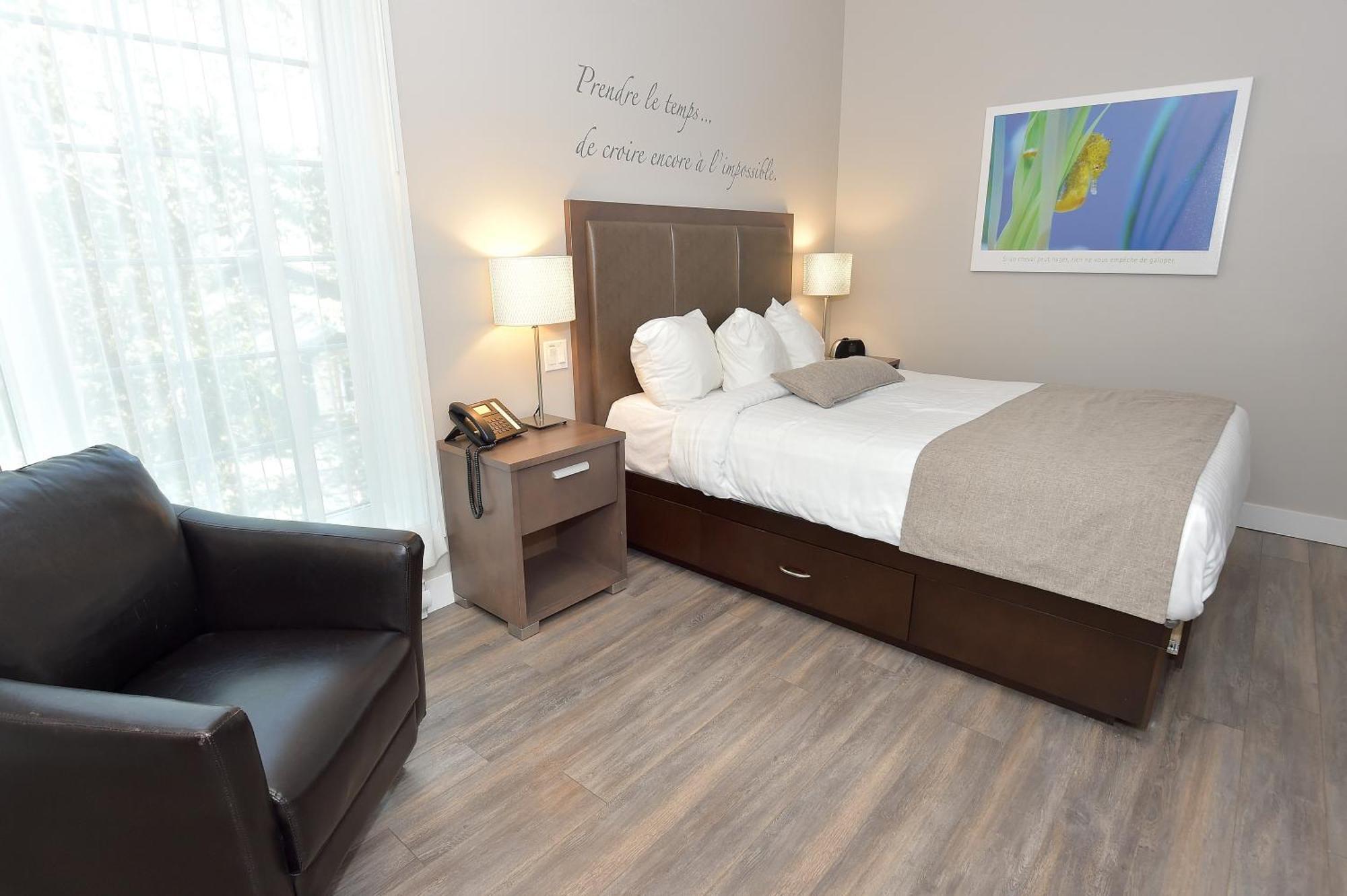 Economical, forest view