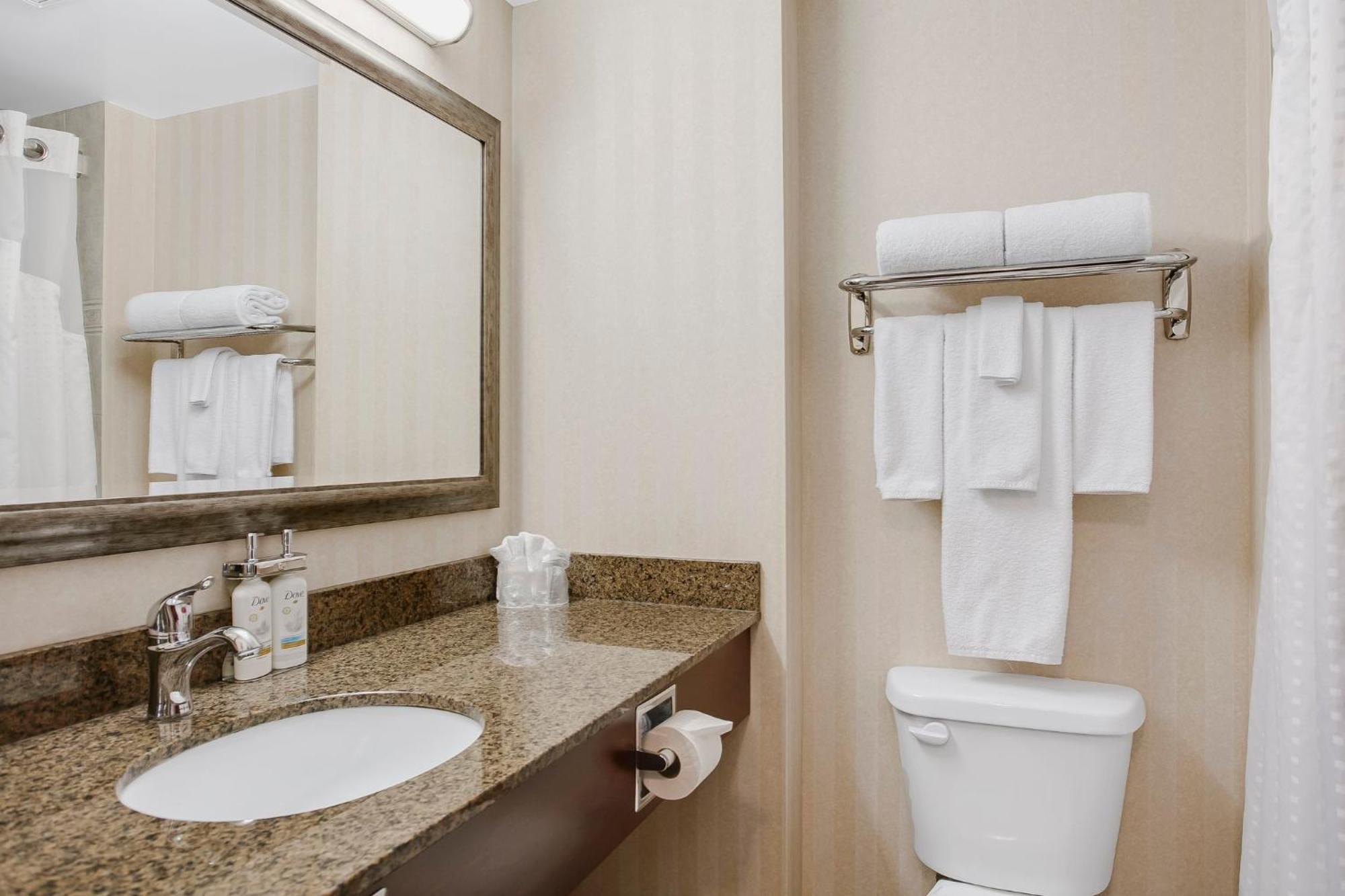 King Suite with Sofa Bed