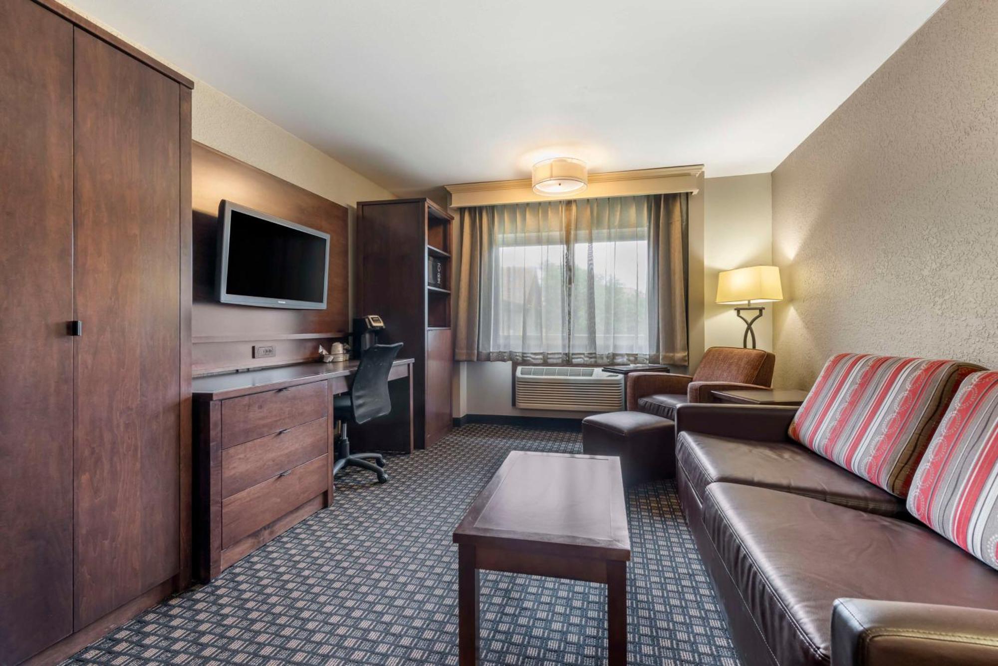 Standard King Suite with Sofa Bed - Non-Smoking,1572680816:JPEG