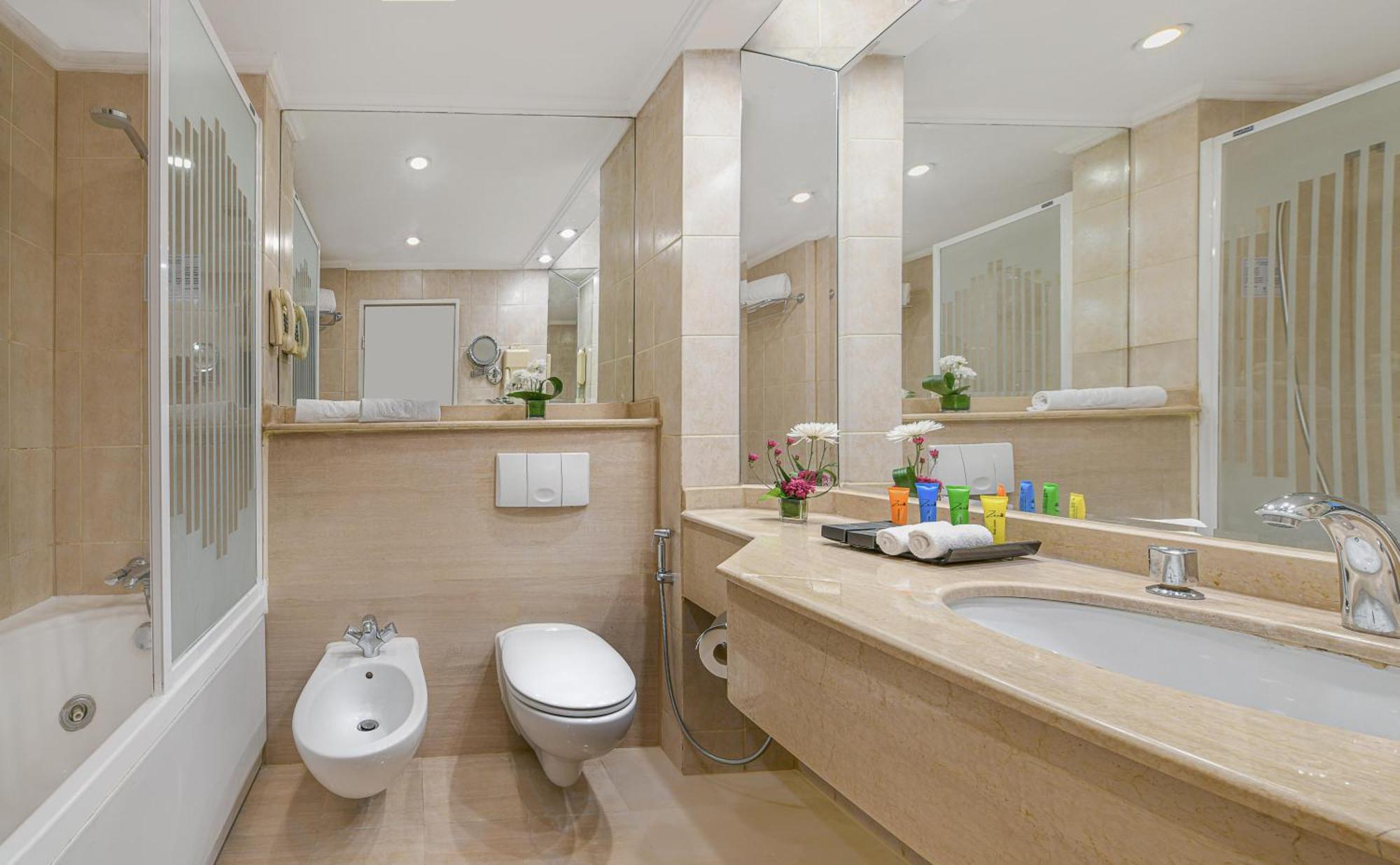 Habitación Doble Executive - 1 o 2 camas